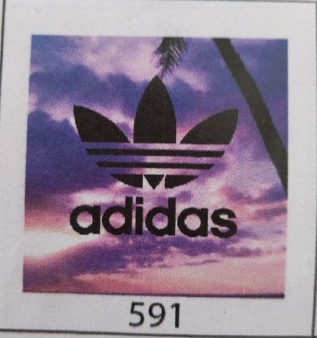Bộ Đùi Nữ XL - B591
