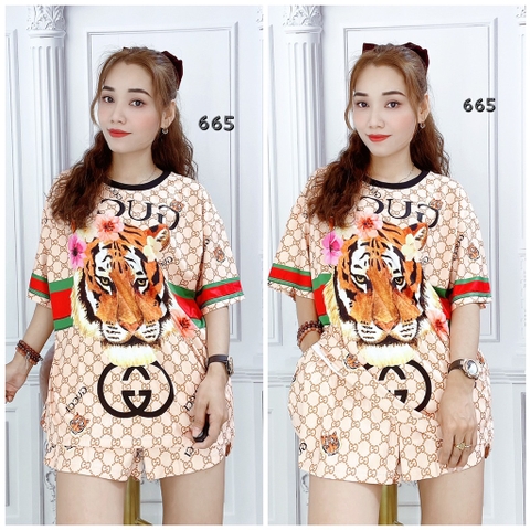 Bộ Đùi Nữ XL - B665