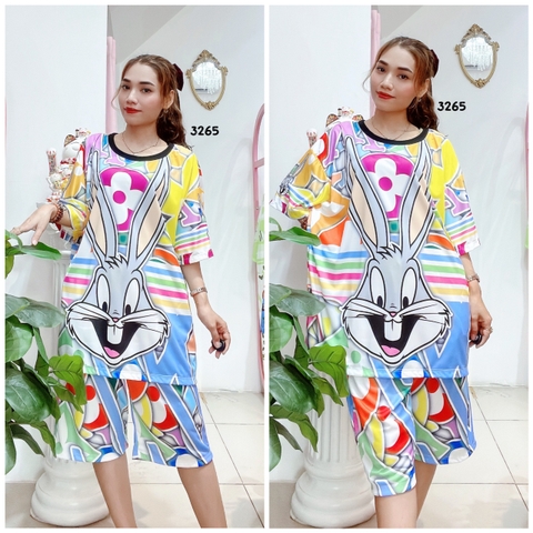 Bộ Lửng Nữ 2XL - SNL2XL3265