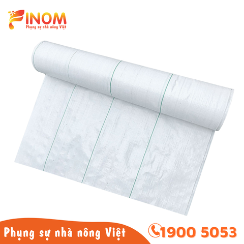 Bạt địa phủ đất nông nghiệp màu trắng 180 gram/m2