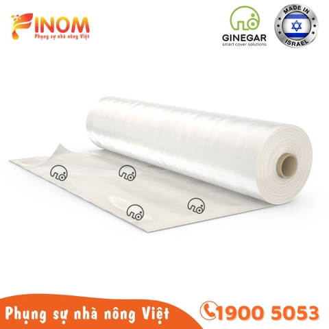 Màng lợp nhà kính 5 lớp Ginegar (Israel) khổ 5.0 mét