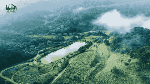Hành trình tìm về thung lũng xanh yên bình ở Lat Valley - Đà Lạt