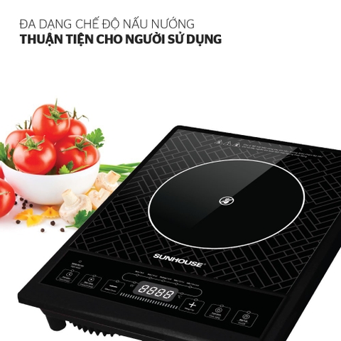 Bếp Hồng Ngoại Sunhouse SHD6011