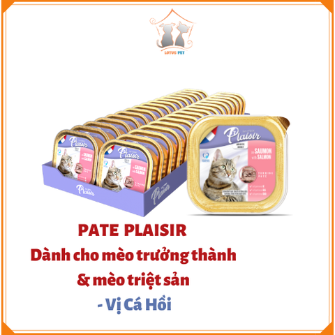 Pate plaisir dành cho mèo - 100GR