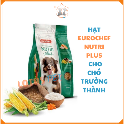 [Date 1/2025] Hạt Eurochef - Nutri Plus - Chó trưởng thành - 2KG