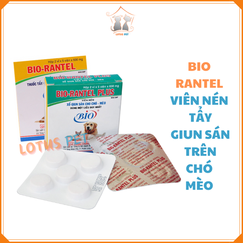 Xổ giun Bio Rantel - Viên nén tẩy giun sán trên Chó Mèo 5KG (Vàng) và 10KG (Xanh)