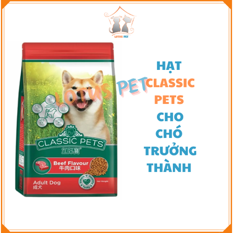 [Hạt chiết date 1/2025] Hạt Classic Pets Adult dành cho chó trưởng thành - 1KG