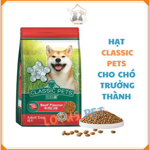 Hạt Classic Pets Adult cho chó trưởng thành - Vị Bò