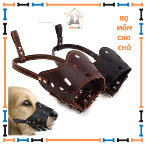 Rọ mõm cho chó