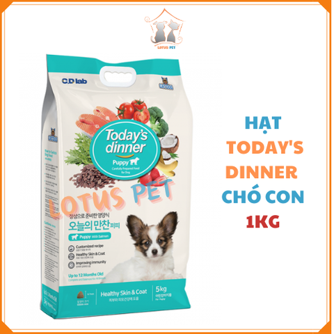 Hạt Today's Dinner - Chó con - 1KG