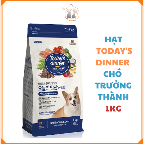 Hạt Today's Dinner - Chó trưởng thành - 1KG