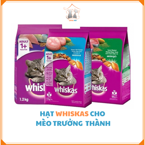 Hạt Whiskas - Vị Cá thu/ Cá biển - Mèo trưởng thành