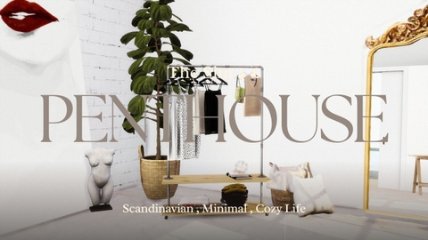 Scandinavian PentHouse