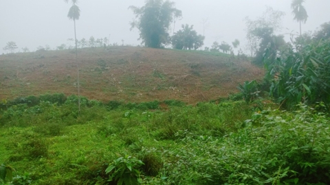 Bán khu đất rộng phù hợp làm trang trại ( đã bán )