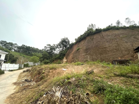 Bán lô đất 1586m2 rừng đã có mặt bằng 1000m2 mặt tiền 51m cách mặt đường Yên Ninh 300m