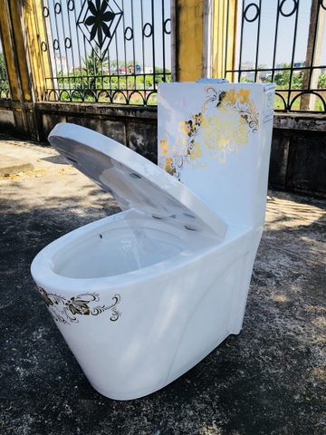 Bồn cầu hoa mai vàng sắc xuân CHINOX CN908
