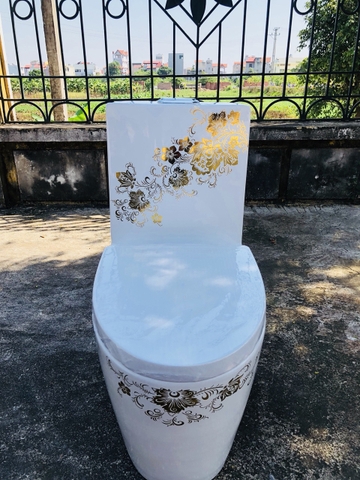 Bồn cầu hoa mai vàng sắc xuân CHINOX CN908