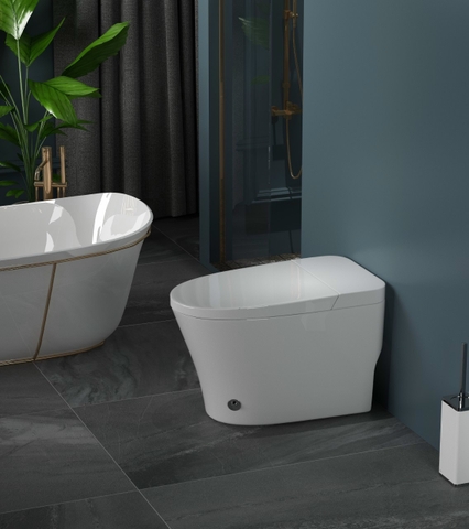 Bệt không két nước kèm xịt rửa CHINOX CN6666 ( đa sắc màu)