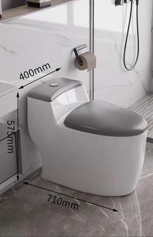 Bồn cầu liền khối dáng ovan CHINOX CN919