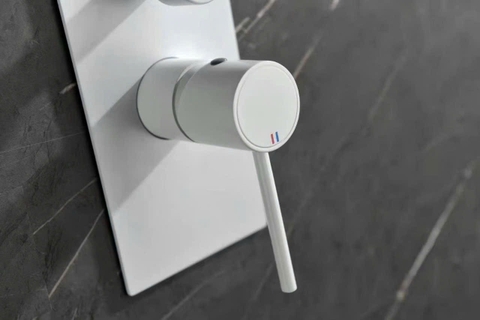 Sen tắm âm tường, âm trần CHINOX SA01