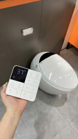 Bệt cảm ứng quả trứng CHINOX A03