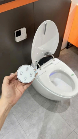 Bệt cảm ứng quả trứng CHINOX A03