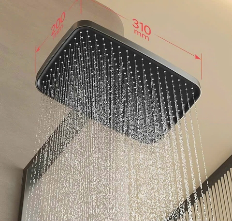 Sen cây phím đàn khổ rộng có mắt phun masage CHINOX SC01