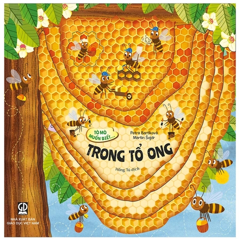 Tò Mò Muốn Biết... Trong Tổ Ong