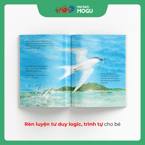 Câu Chuyện Của Những Giọt Nước