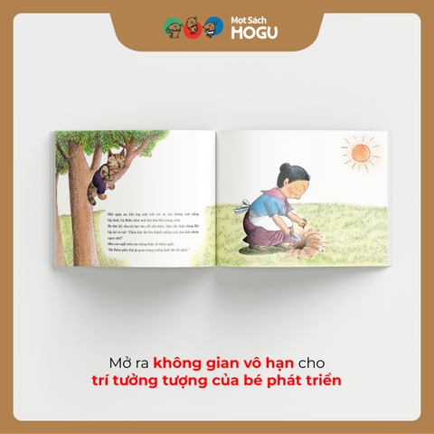 Hạt Dưa Hấu