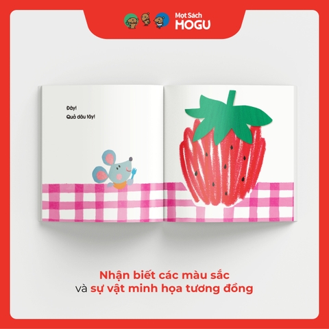 Bút Màu Xoay Tròn