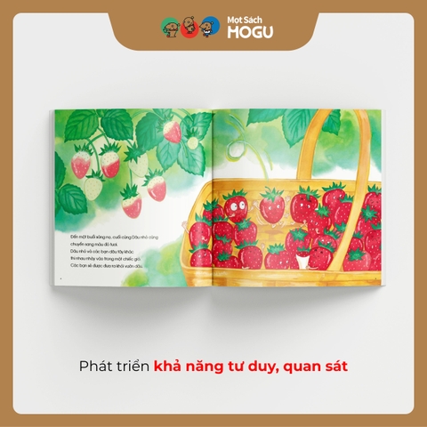 Dâu Nhỏ Ơi! Cậu Ở Đâu Thế?