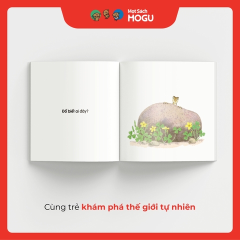 Đố Biết Ai Đây?