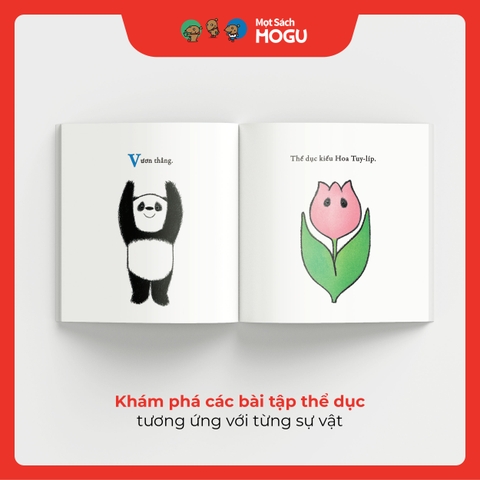 Bài Thể Dục Bắt Chước Của Gấu Trúc