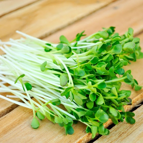 Rau mầm bông cải xanh có tác dụng chống ung thư cao