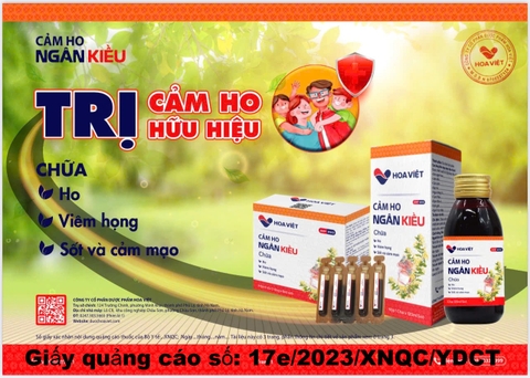 Siro Cảm ho Ngân Kiều