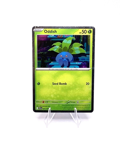 pokemon enhanced 2 pack blister boxx shop