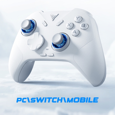 Tay Cầm Flydigi Direwolf 4 Polling Rate 1000Hz, Hall Effect, Joystick Tùy Chỉnh Lực cho Nintendo Switch, PC, Laptop