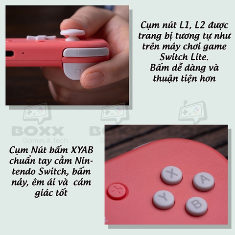 Tay cầm chơi game bluetooth 8Bitdo Lite 2 - Nintendo Switch