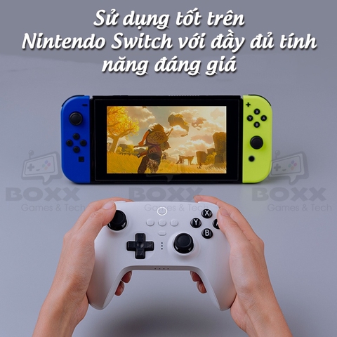 Tay cầm chơi game cho Nintendo Switch 8Bitdo Ultimate Bluetooth Controller kèm dock sạc