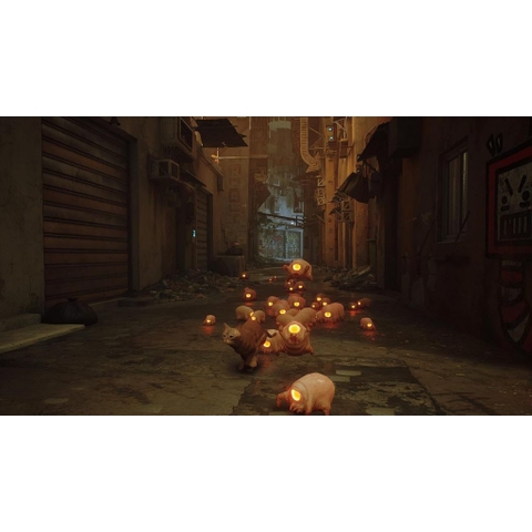 Băng Game Stray Nintendo Switch