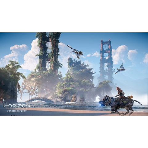 Đĩa Game Horizon Forbidden West PS4