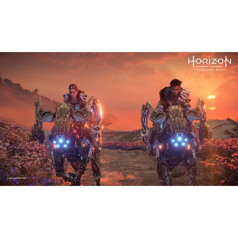 Đĩa Game Horizon Forbidden West PS4