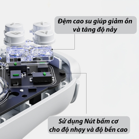 Tay cầm Aolion J20, Aolion J20 Joycons trang bị phím cơ, Hall Effect, Gyro, LED RGB