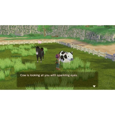 Băng Game Story Of Seasons A Wonderful Life Nintendo Switch