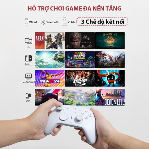 Tay cầm Mobapad N1 HD Liquid Silicone Buttons, Hall Effect, Macro cho Nintendo Switch, Windows