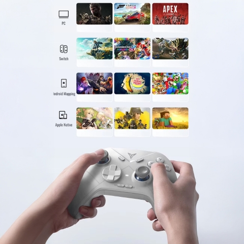 Tay cầm Flydigi Direwolf 3 hỗ trợ Macro, Polling Rate 1000Hz cho Nintendo Switch, PC, Laptop