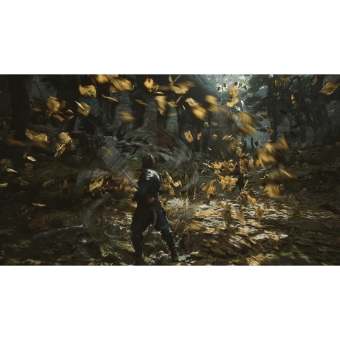 Đĩa Game Black Myth Wukong PS5
