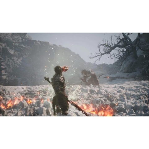 Đĩa Game Black Myth Wukong PS5