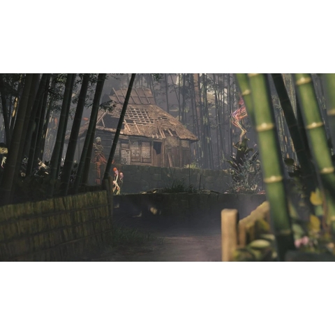 Băng Game Kunitsu-Gami Path of the Goddess Nintendo Switch 2